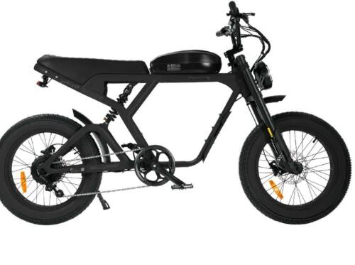 REVI cougar E bike