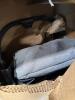 DOMI outdoor living, pure spa, Rolled material, rain barrel, stroller, furniture, clothing card swimming pool pump & More - 9